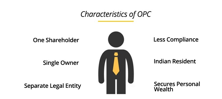 types-of-legal-entities-for-doing-business-choksitax